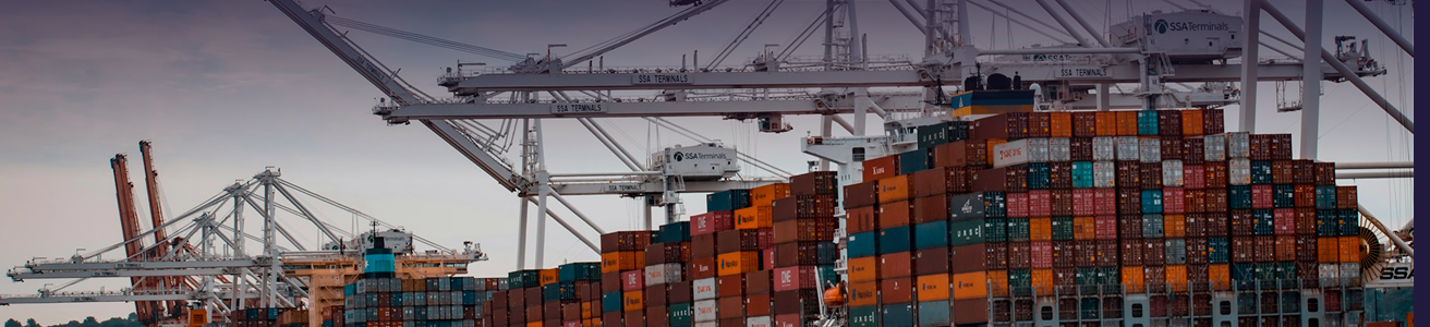 Cranes loading cargo at a logistics terminal