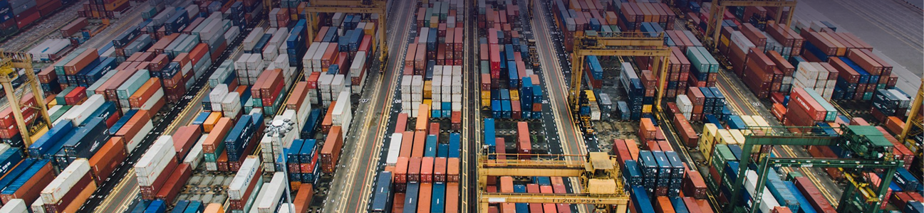 Critical infrastructure surveillance and monitoring